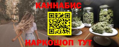 индика Можайск