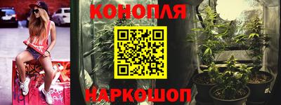 индика Можайск