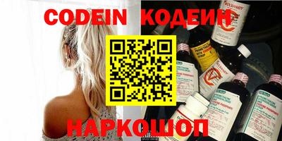 индика Можайск