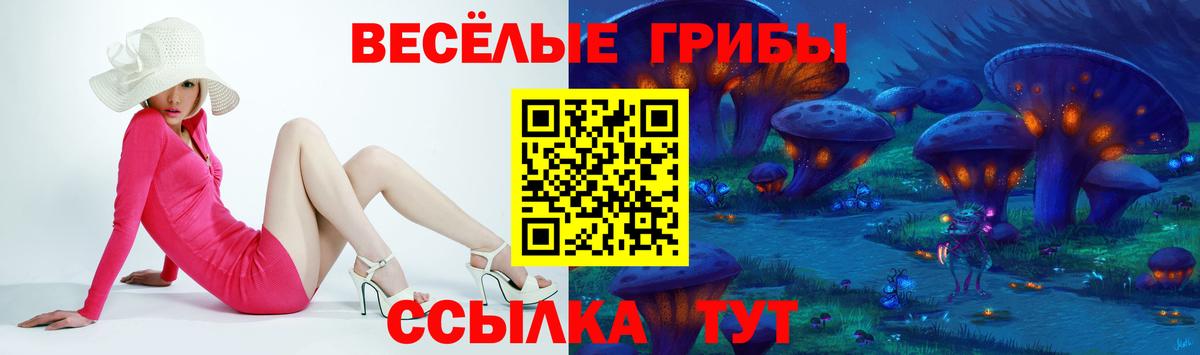 Псилоцибиновые грибы Cubensis  Вход с VPN  Торжок 